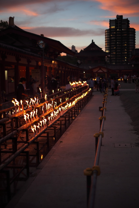 四天王寺 盂蘭盆会万灯供養 2016_a0176855_22501849.jpg