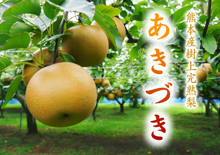 熊本梨 岩永農園 梨のサラブレッド「秋月(あきづき)」令和元年度の先行予約受付スタート!!_a0254656_18211622.jpg