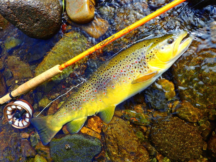 e0212759_00271050.jpg