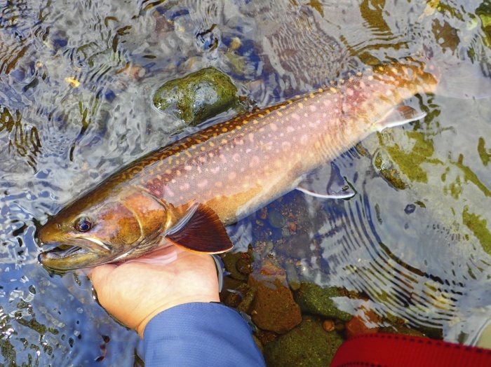 e0212759_00382201.jpg