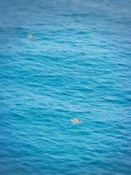 a0257564_17201411.jpg