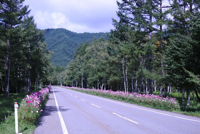 c0084268_16144637.jpg
