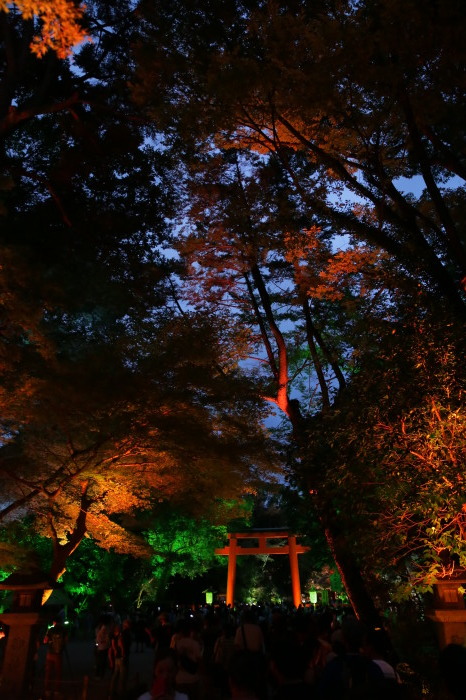 下鴨神社 糺の森の光の祭_f0021869_22184827.jpg