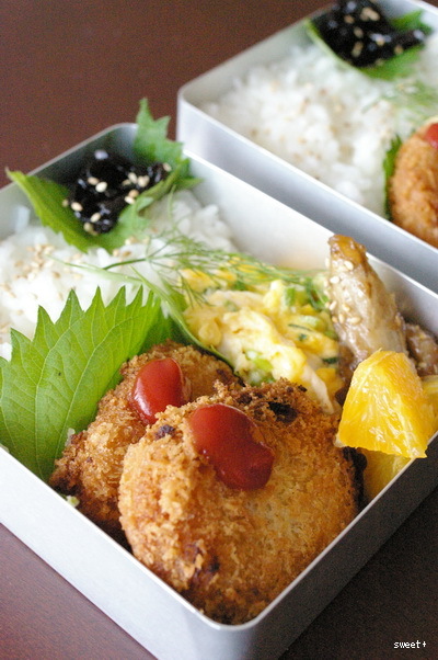 今日のコロッケ弁当と観葉植物☆_d0327373_20350338.jpg