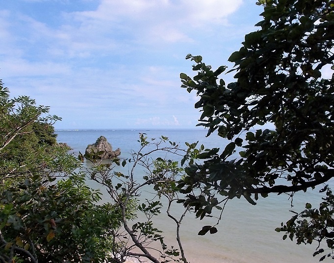 b0208577_21534617.jpg