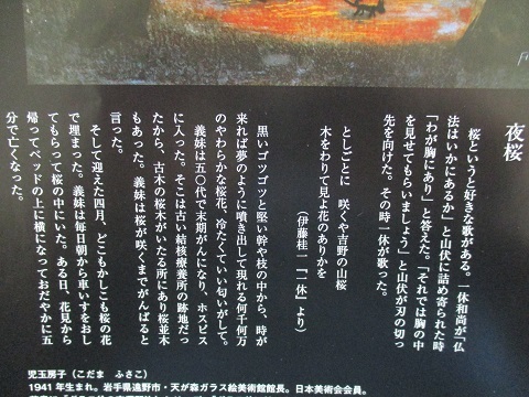 児玉房子さんからの返信・溢れ出るいのち、ほとばしる人間への愛!_a0053480_08314971.jpg