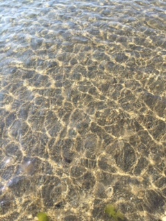 f0193680_21395267.jpg