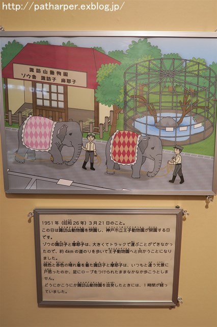 2016年8月 王子動物園 その3 特別展「はく製たちと 2016年8月 王子動物園 その3 特別展「はく製たちと