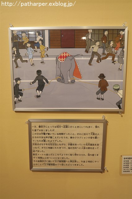 Yahoo!オークション - 新品同様 全3巻揃い 世界の動物園めぐり