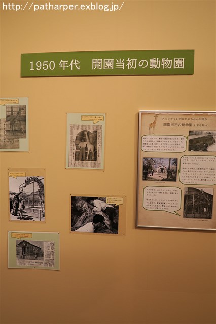 2016年8月 王子動物園 その3 特別展「はく製たちと 2016年8月 王子動物園 その3 特別展「はく製たちと