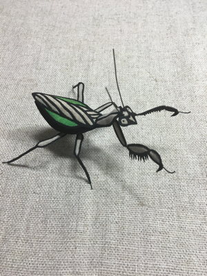 茶色のカマキリ ふちどり日記 茶色のカマキリ ふちどり日記