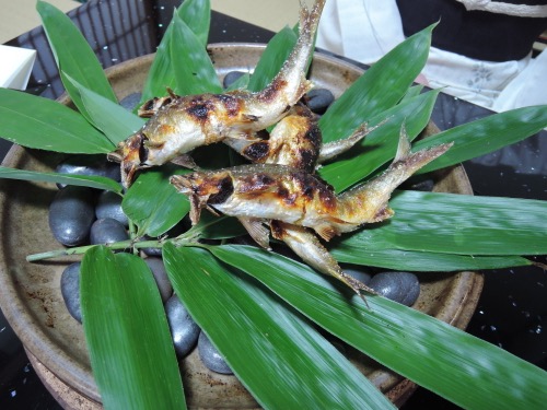 鮎を食べに津和野へ。_f0232994_1232457.jpg
