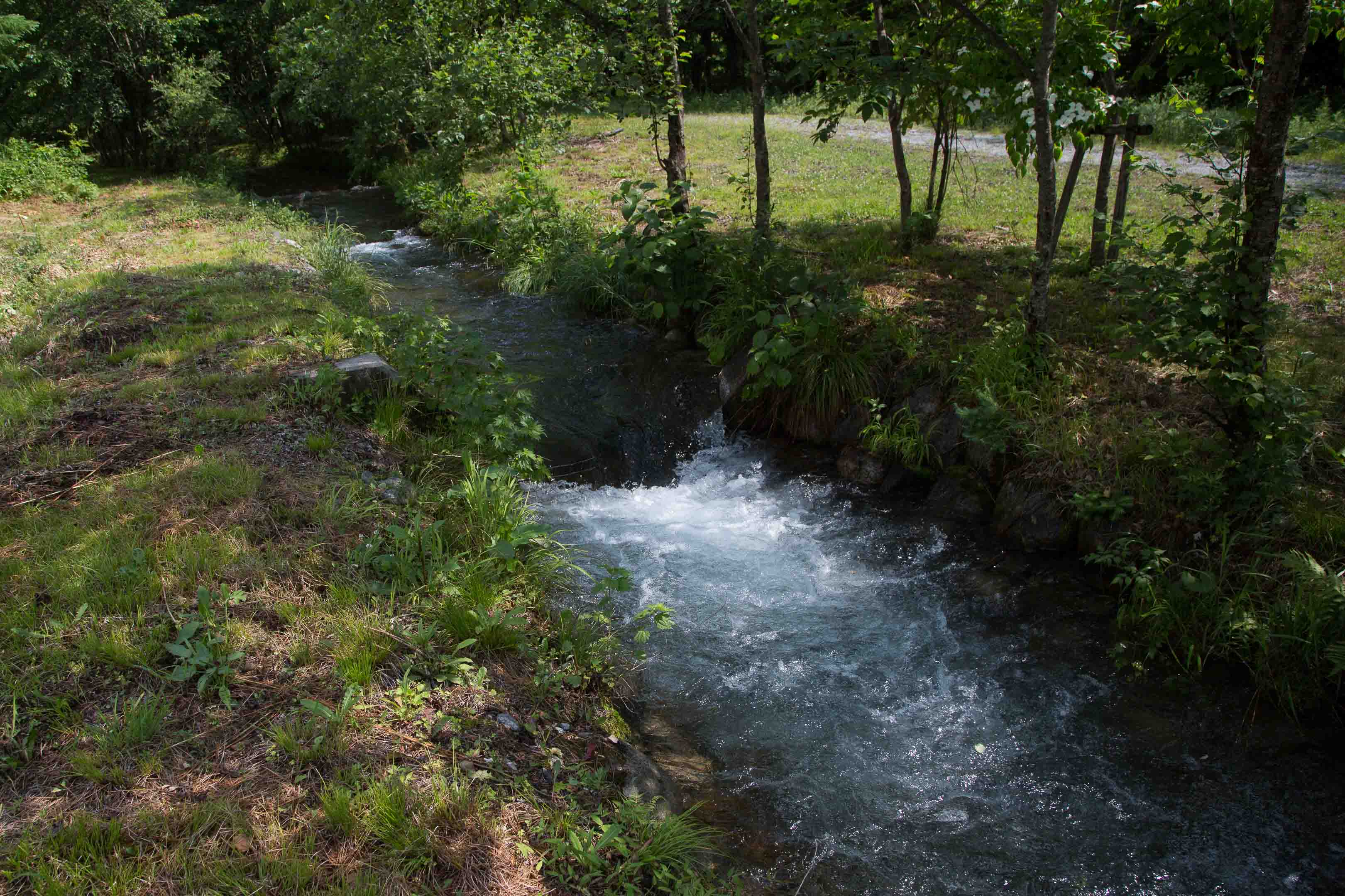 c0248100_55613.jpg