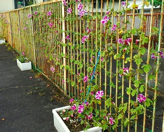 d0306603_08043256.jpg