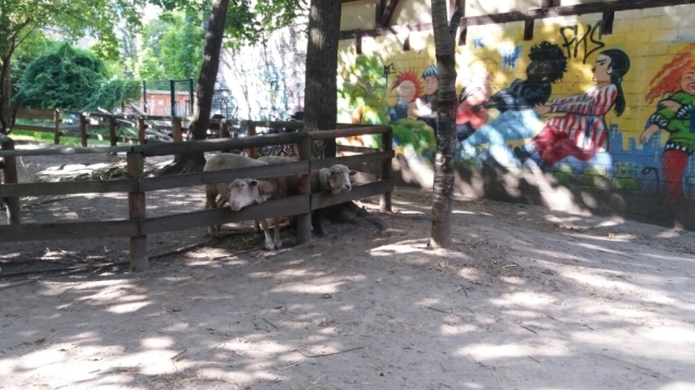 e0149604_05105429.jpg