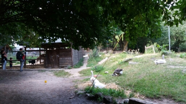 e0149604_05110292.jpg