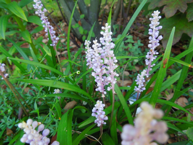 f0297809_2313619.jpg