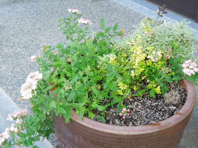 f0297809_233650.jpg