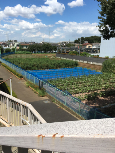 東京3日目。千歳烏山とコインランドリーと友達との再会_f0369914_18204674.jpg