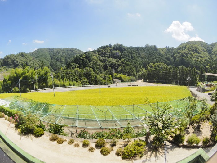 今日も晴れた_c0116915_20581655.jpg