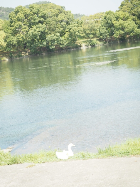 c0317915_07164088.jpeg