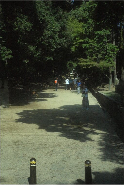 b0226423_11375643.jpg