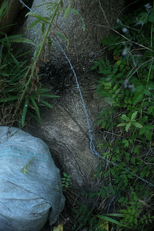 b0226423_11382450.jpg