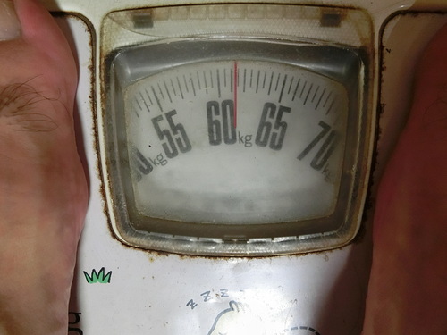 a0243325_8222052.jpg