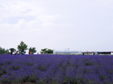 f0339434_21241736.jpg