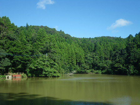 a0123836_17205899.jpg
