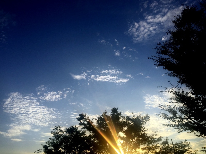b0057140_23134768.jpg