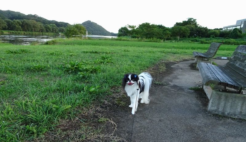 育ち_d0165645_08471693.jpg