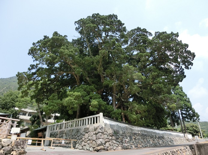 a0237349_16302023.jpg