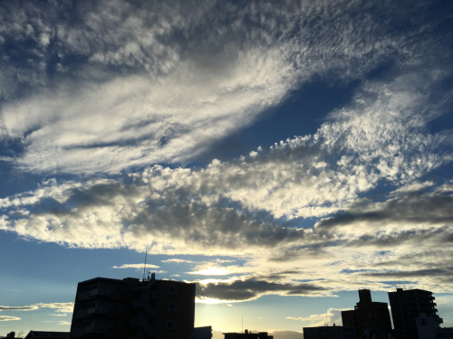 d0148449_06515761.jpg