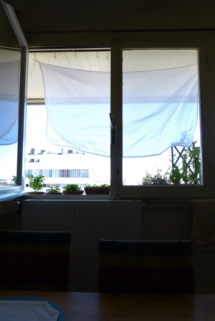 f0221050_07432071.jpeg