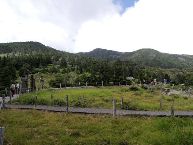 f0360256_1785663.jpg