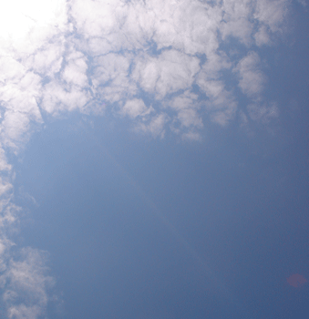 e0001558_15413576.gif