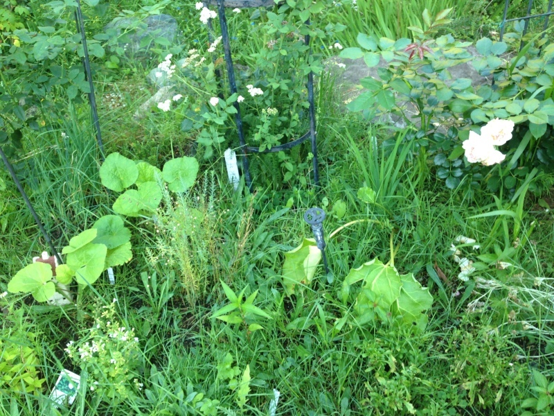 d0320463_08113708.jpeg