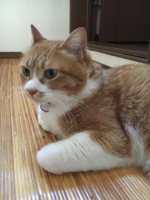 f0363168_08513638.jpeg