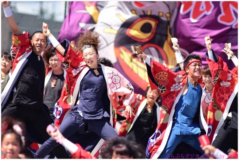 彩夏祭　関八州よさこいフェスタ　2016　（６） 弾人・溝連・武州武蔵_b0104774_23260636.jpg