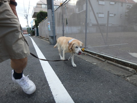 f0052277_1545123.jpg