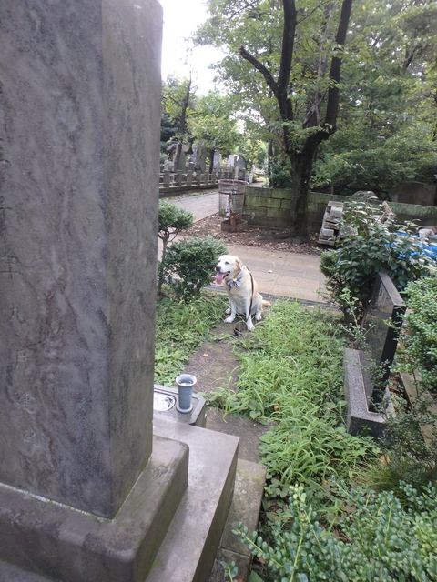 f0052277_2132596.jpg