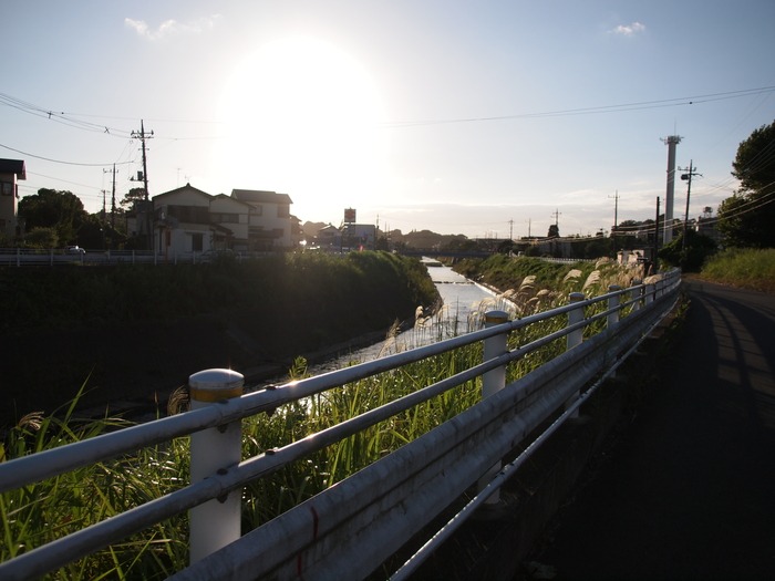 鶴見川　　逆光_a0085679_18222672.jpg