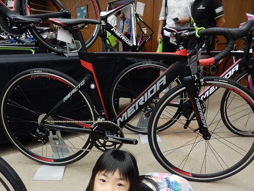 MERIDAの展示会と鳩_b0189682_20274618.jpg