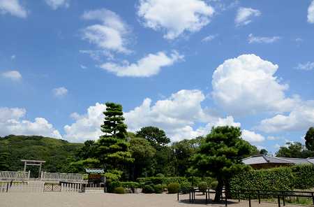 c0229483_20494573.jpg