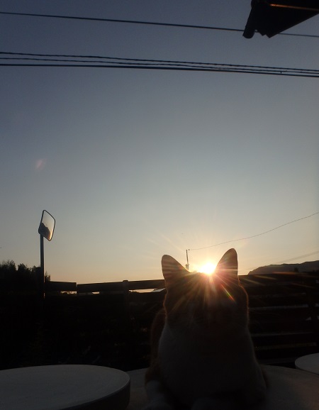 小花器と3方曲げ_d0195183_1492483.jpg