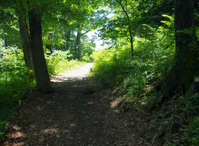 b0123486_77166.jpg