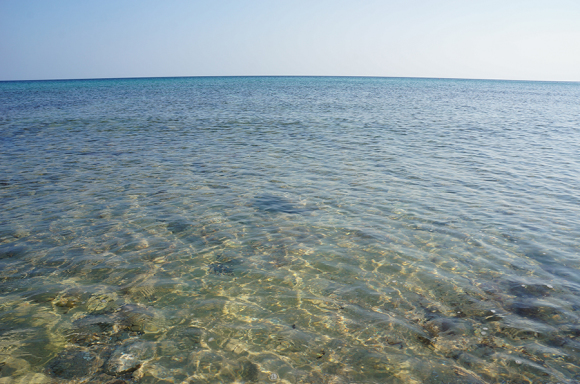 海にさよなら_f0106597_21164921.jpg