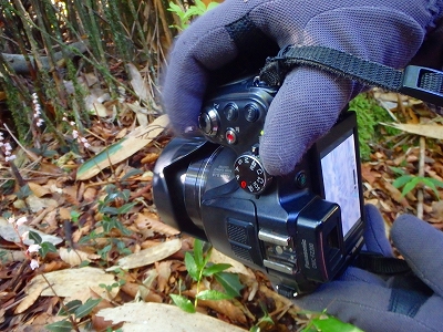 f0193521_49194.jpg