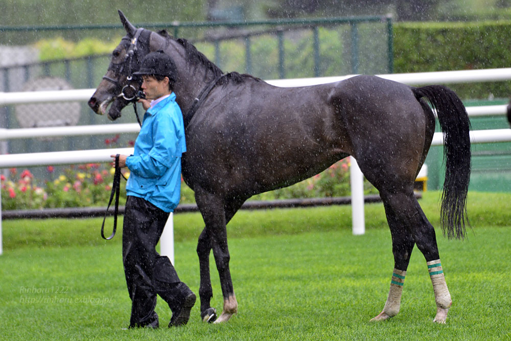 2016.8.20 札幌競馬場☆リュラ【Thoroughbred】_f0250322_23124874.jpg